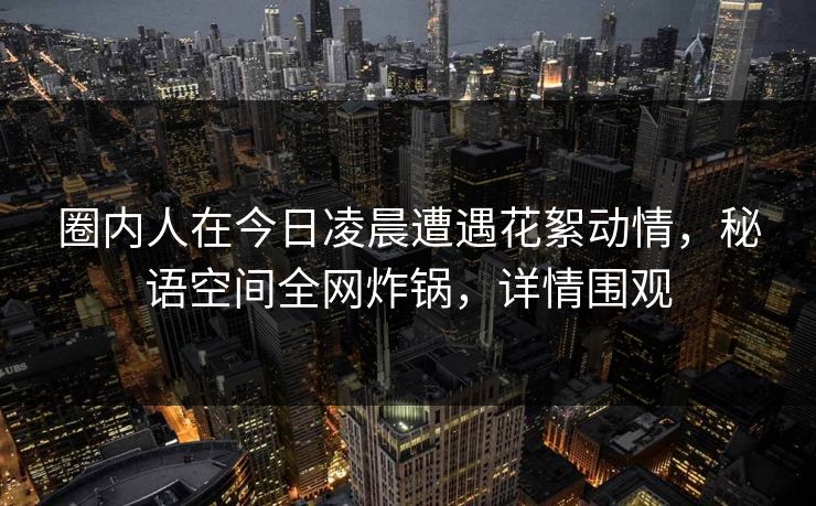 圈内人在今日凌晨遭遇花絮动情，秘语空间全网炸锅，详情围观