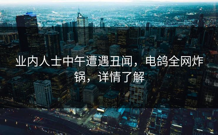 业内人士中午遭遇丑闻，电鸽全网炸锅，详情了解